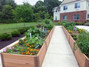 Kershaw Commons garden